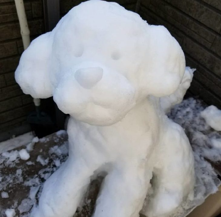 Esculturas De Nieve, perro