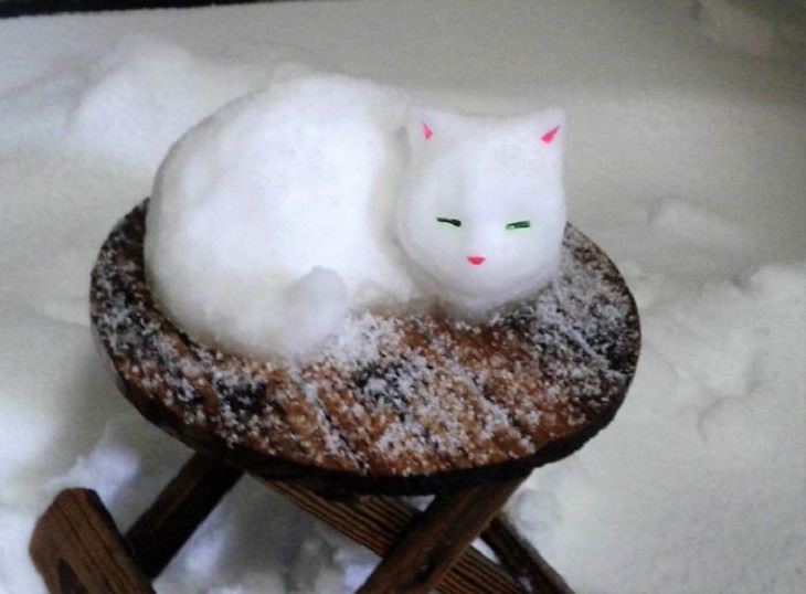 Esculturas De Nieve, gatito sospechoso