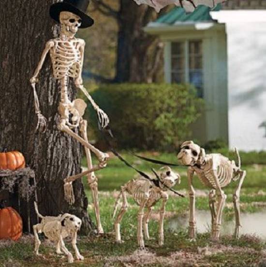 Decoraciones De Halloween, esqueleto paseando
