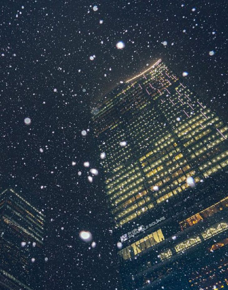 Calles Nevadas De Japón, Una noche nevada en Shibuya