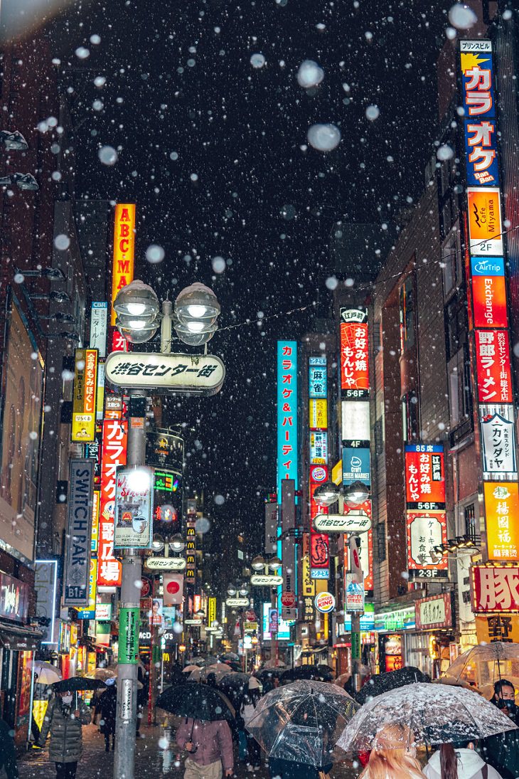 Calles Nevadas De Japón, Personas con paraguas durante una repentina nevada