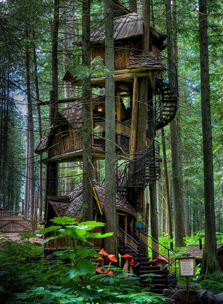 Casas Del Árbol, Casa del árbol de tres pisos, Columbia Británica, Canadá