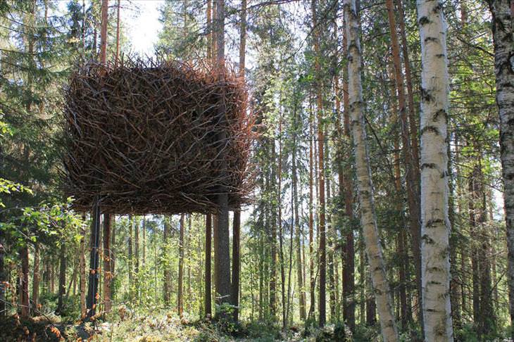 Casas Del Árbol, La casa del árbol del nido de pájaro, Suecia