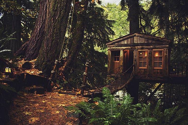 Casa del árbol en Seattle, EE. UU.