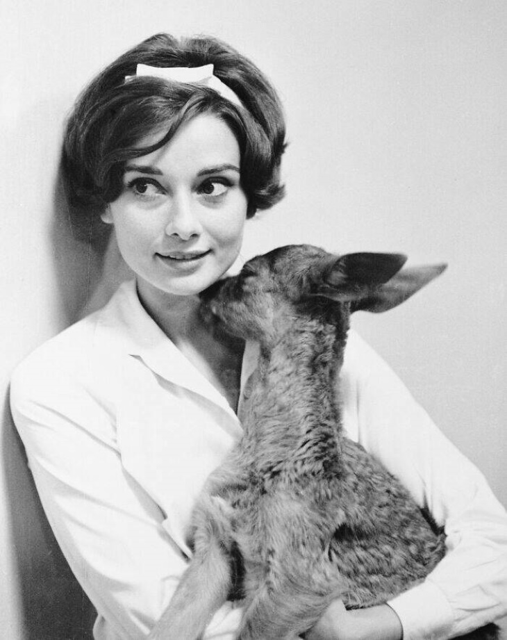 Fotos De Celebridades Nunca Antes Vistas, Audrey Hepburn