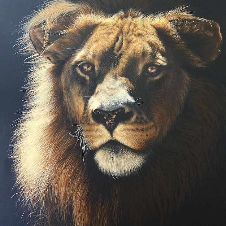 Pinturas Hiperrealistas De Animales, león