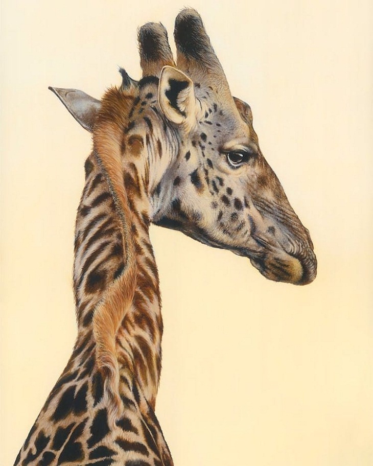 Pinturas Hiperrealistas De Animales, jirafa