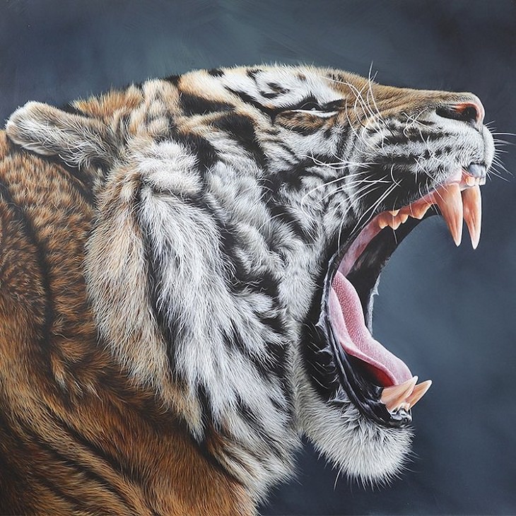 Pinturas Hiperrealistas De Animales, tigre rugiendo
