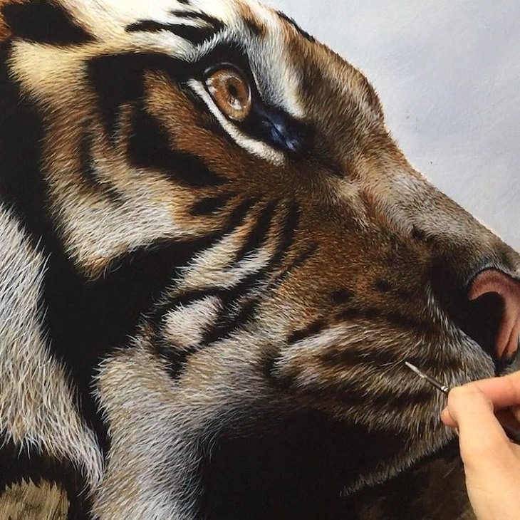 Pinturas Hiperrealistas De Animales, tigre acercamiento