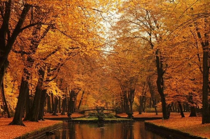 Fotos Del Otoño, Hermoso parque en Bayreuth, Alemania
