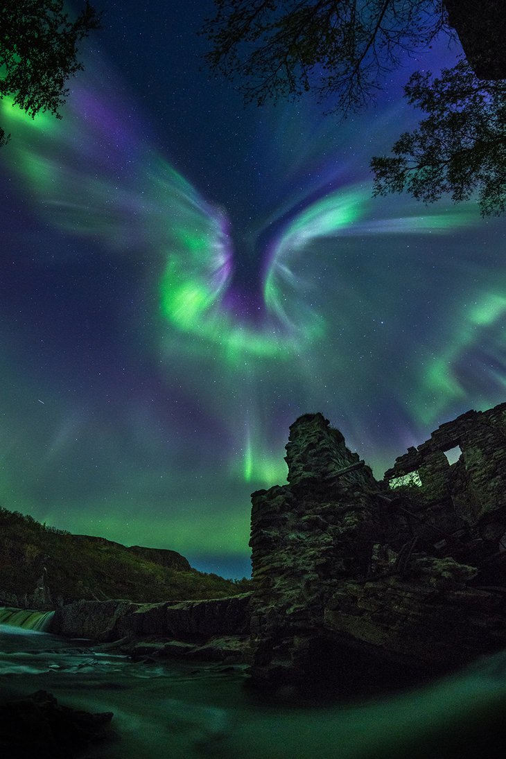Fotos de astronomía: paloma de la aurora