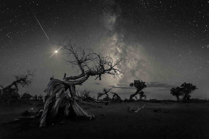 Fotos de astronomía: cometa de los árboles nudosos