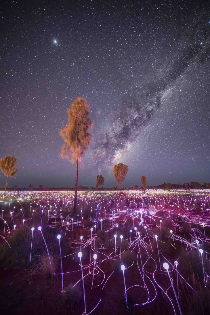 Fotos de astronomía: la vía láctea sobre los árboles y las luces