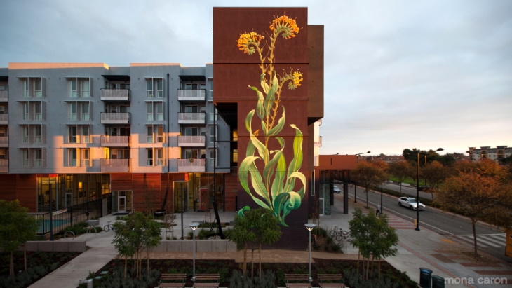 Murales De Flores En Edificios, flores naranjas
