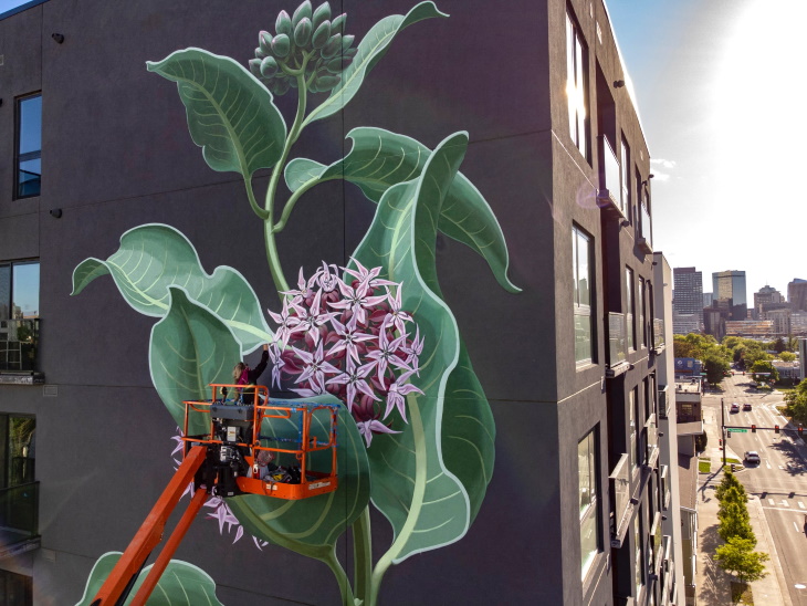 Murales De Flores En Edificios, algodoncillo acercamiento