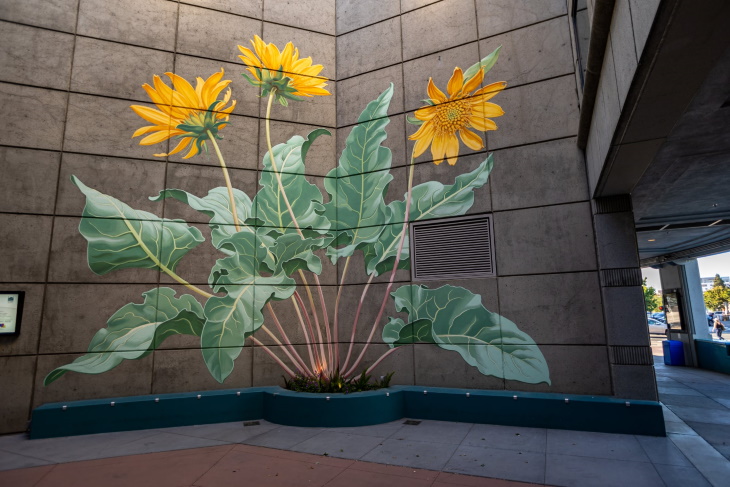 Murales De Flores En Edificios, girasoles