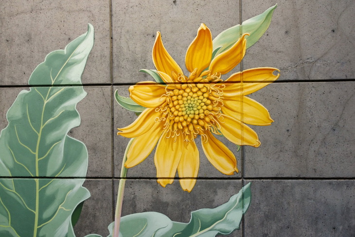 Murales De Flores En Edificios, girasol