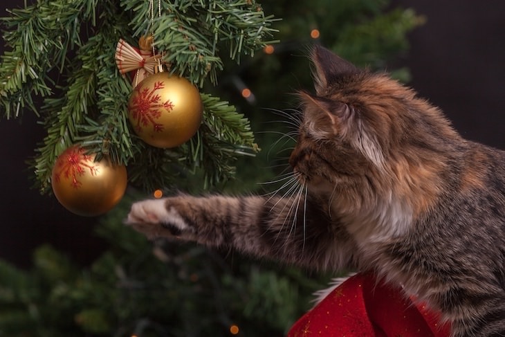Árboles De Navidad y Mascotas, gato jugando con un adorno 