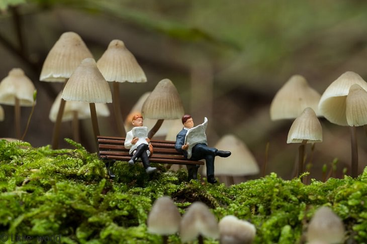 Arte En Miniatura, Leyendo un libro en el bosque de hongos