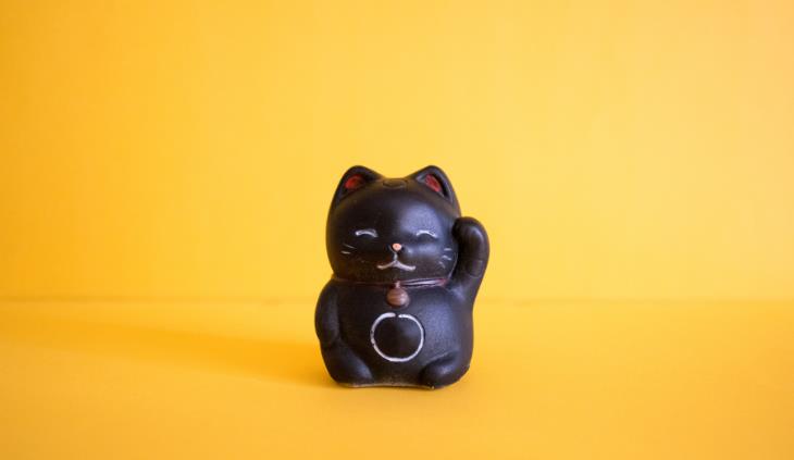 Gato negro buen encanto japonés