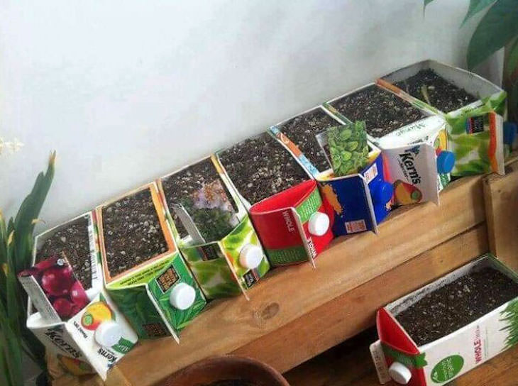 Ideas y trucos creativos de jardinería Objetos reciclados para usar como semilleros