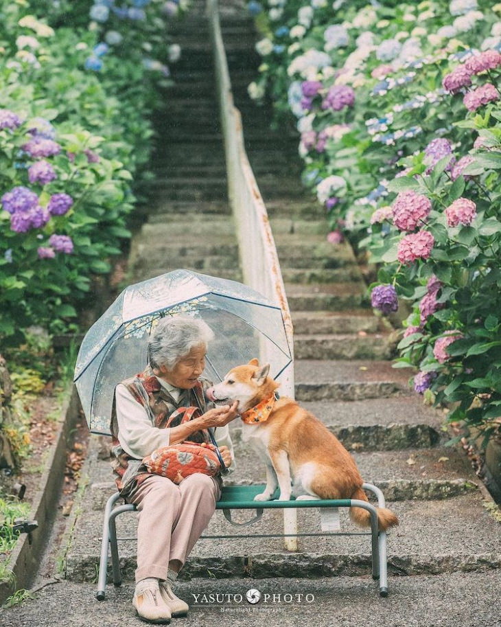 Abuela y su perro fiel, con una sombrilla