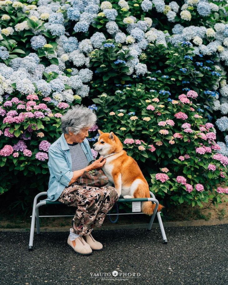 Abuela y su perro fiel, sentados en una banca