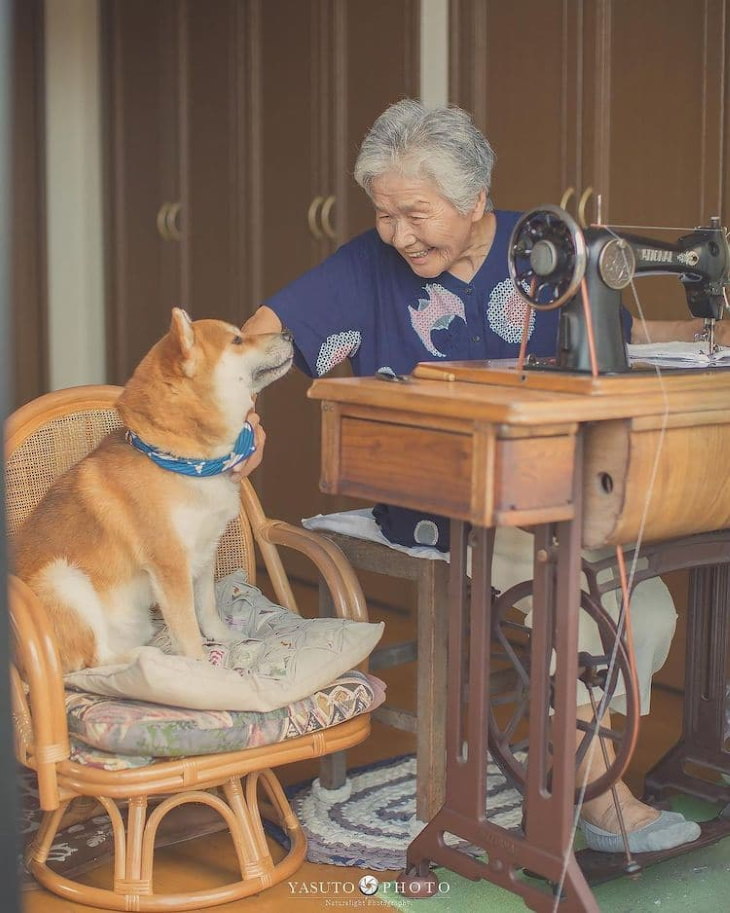Abuela y su perro fiel, abuela cosiendo