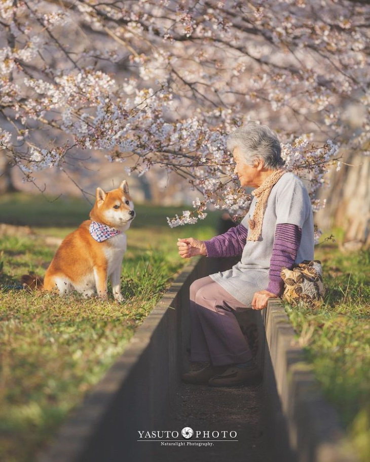 Abuela y su perro fiel, bajo un árbol