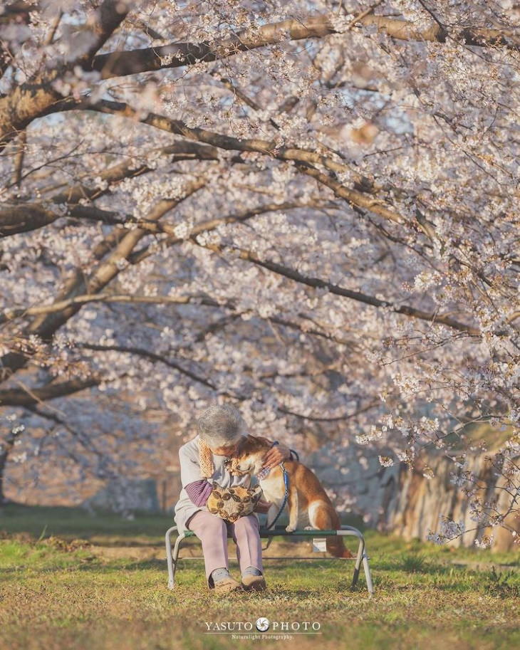 Abuela y su perro fiel, debajo de un árbol