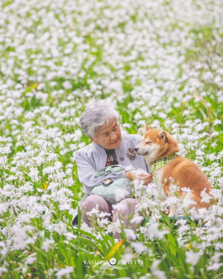 Abuela y su perro fiel, en un campo de flores
