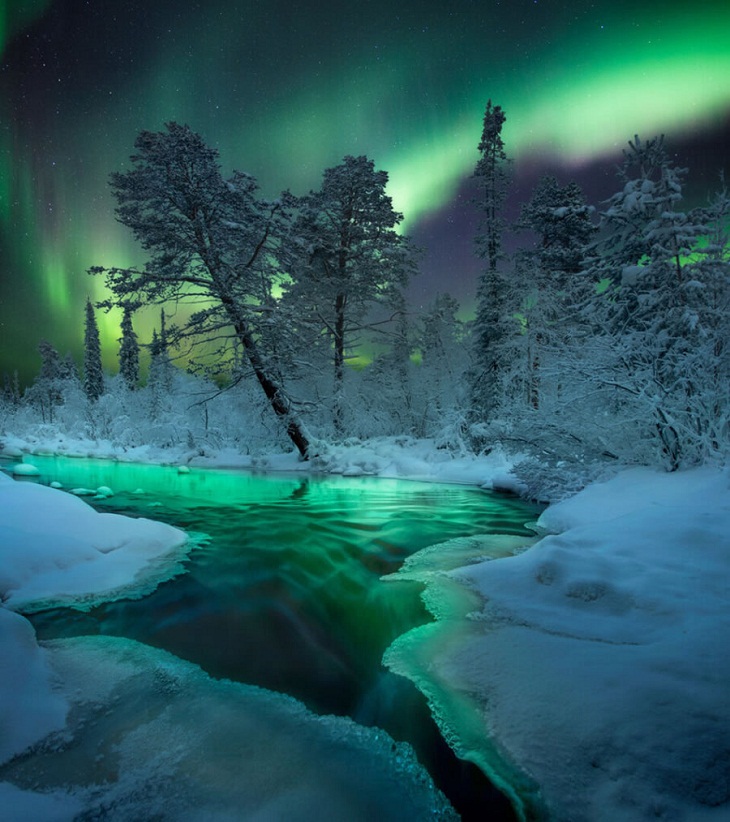 Fotógrafo De Auroras Boreales Del 2022, Noche Mágica por Anastasia y Aleksey R
