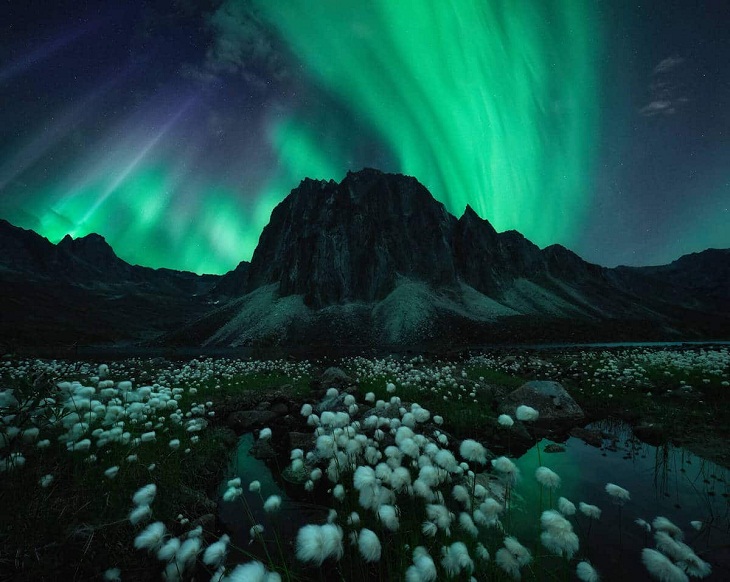 Fotógrafo De Auroras Boreales Del 2022, Bajo un cielo del norte de Rachel Jones Ross