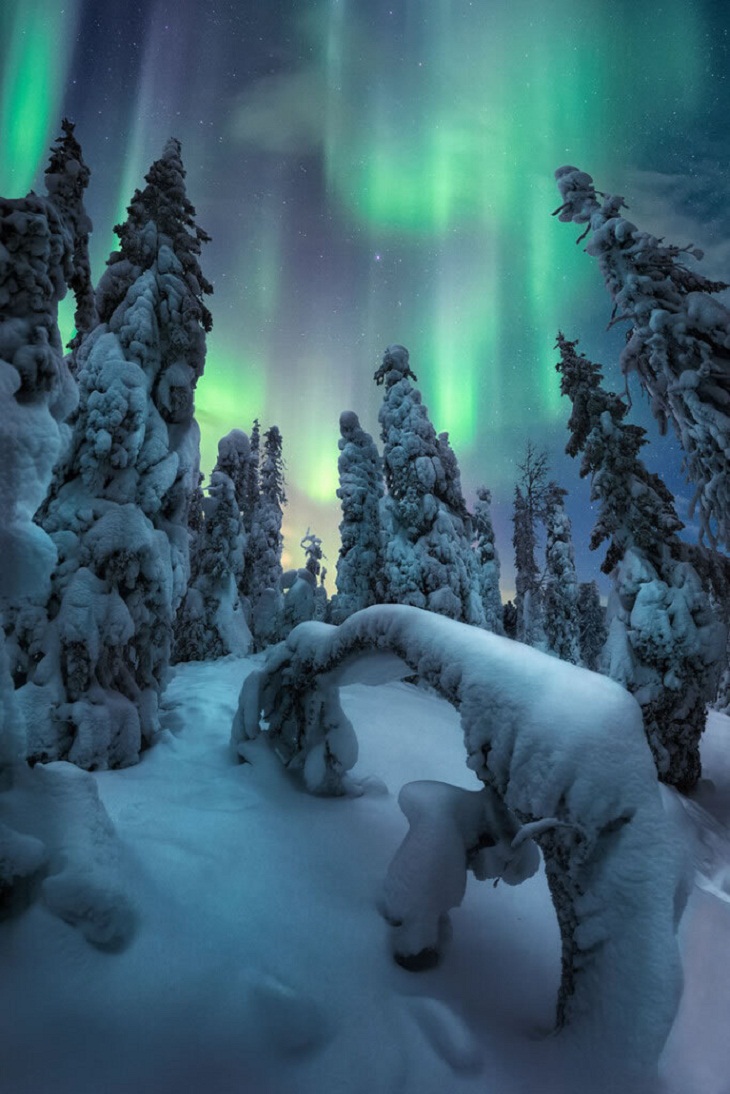 Fotógrafo De Auroras Boreales Del 2022, Espíritus del invierno de Unai Larraya
