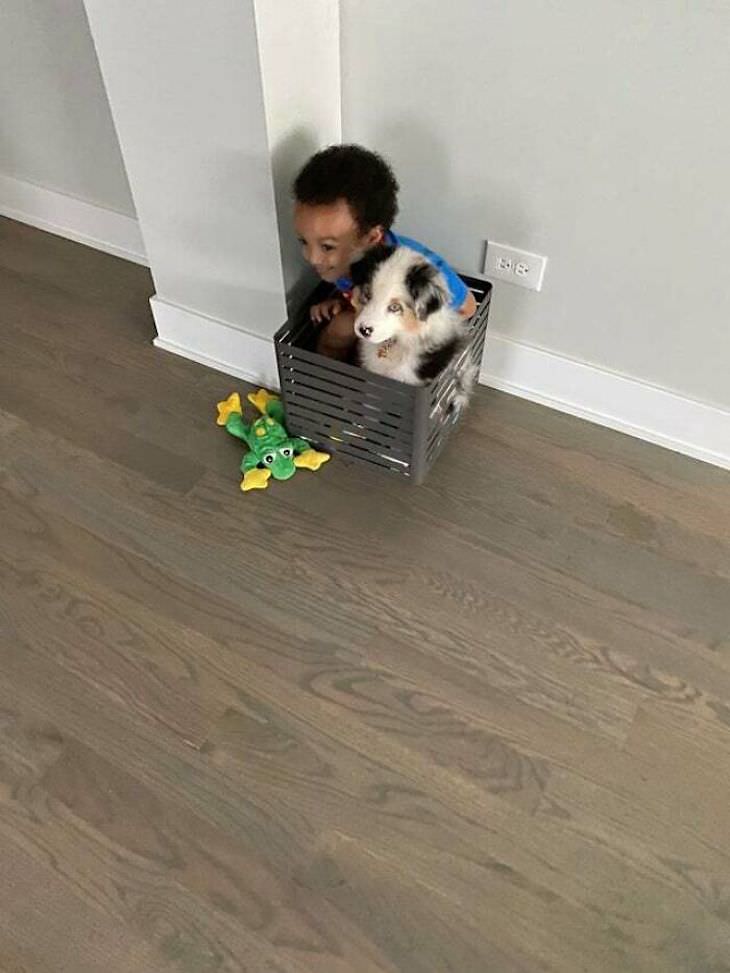Amistad Entre Niños y Sus Perros, niño y su perro jugando juntos
