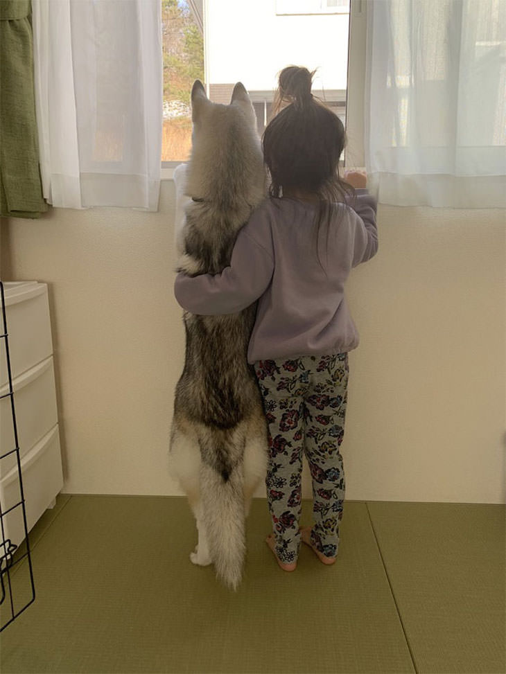 Amistad Entre Niños y Sus Perros, niña y su perro mirando por la ventana