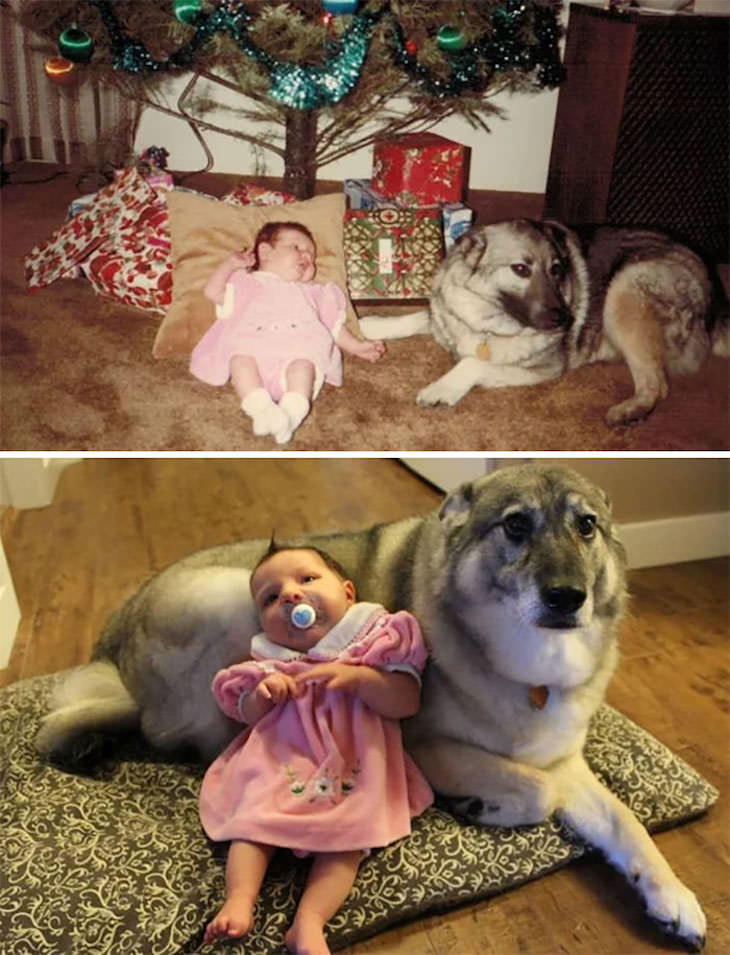 Amistad Entre Niños y Sus Perros, madre y cachorro e hija y cachorro