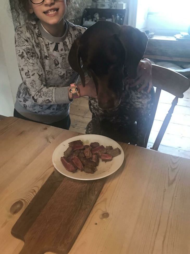 Amistad Entre Niños y Sus Perros, perro mirando su bistec