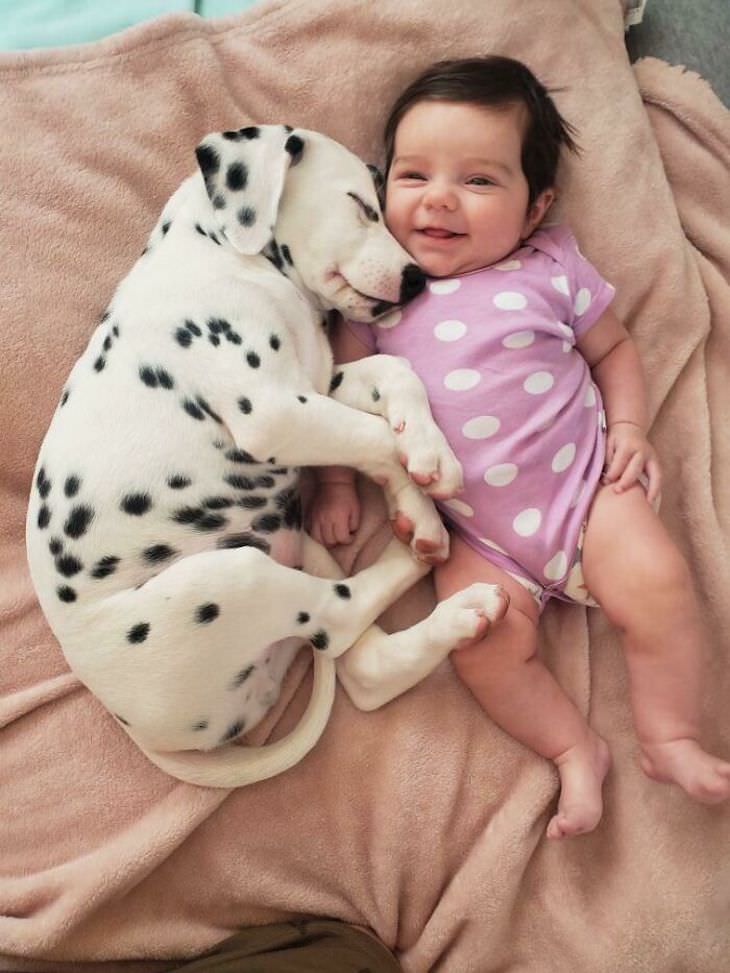 Amistad Entre Niños y Sus Perros, bebé y su perro dálmata