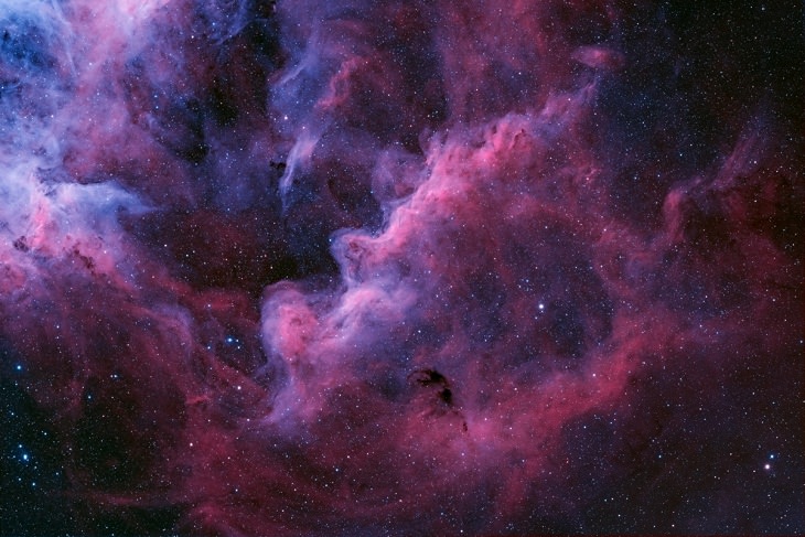 Concurso Fotógrafo Astronómico del Año, Nebulosa