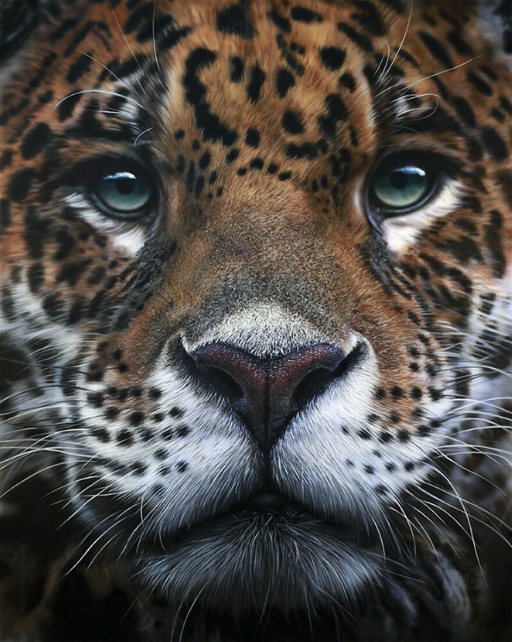 Pinturas Realistas De Johannes Wessmark, leopardo