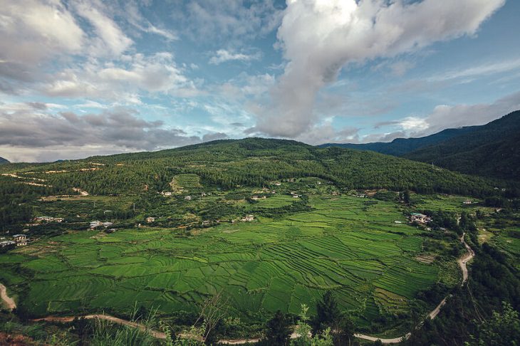 La belleza de Bután, los campos de arroz en terrazas