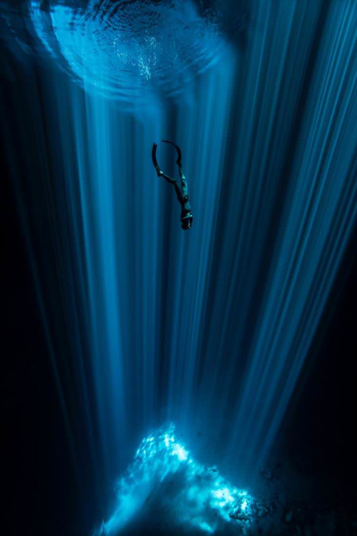 Concurso Fotógrafo Submarino Del Año,  Debajo de la corriente, Wendy Timmermans (Países Bajos)