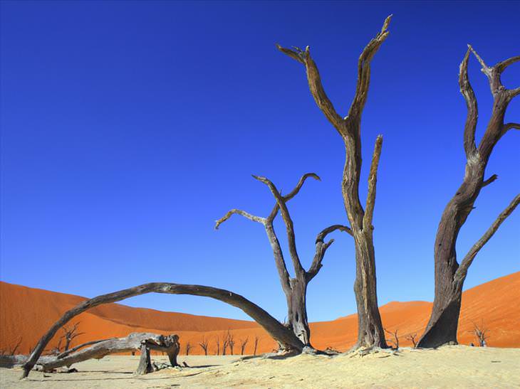 Paisajes Surrealistas, Dead Vlei, Namibia