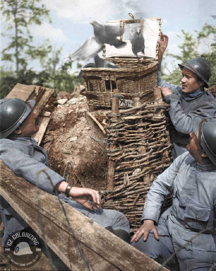 Fotos Históricas a Color, Soldados durante la Primera Guerra Mundial liberando un grupo de palomas mensajeras.