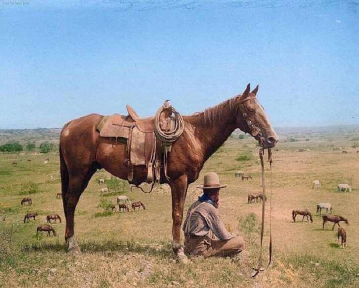 Fotos Históricas a Color, Un domador de caballos observando caballos en Bonham, Texas, en junio de 1910.