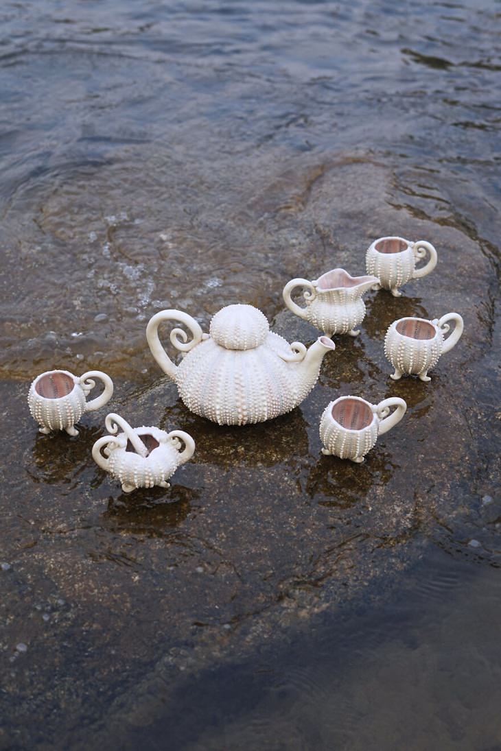  juego de té de erizo de mar