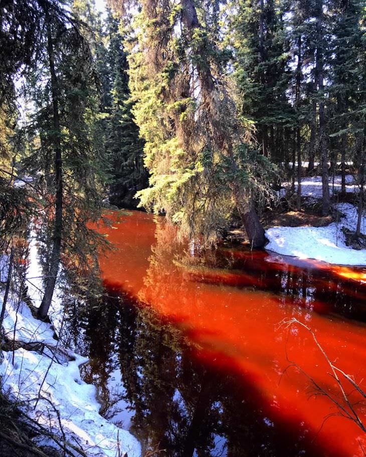 Fotos Magníficas De La Naturaleza, Los taninos de los suelos de abeto y turba tiñen el río de rojo.