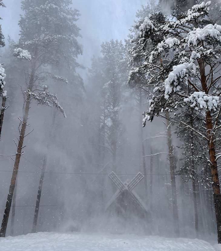 Fotos Magníficas De La Naturaleza, La nieve que cae de los pinos ocultando la vista en Vologda, Rusia
