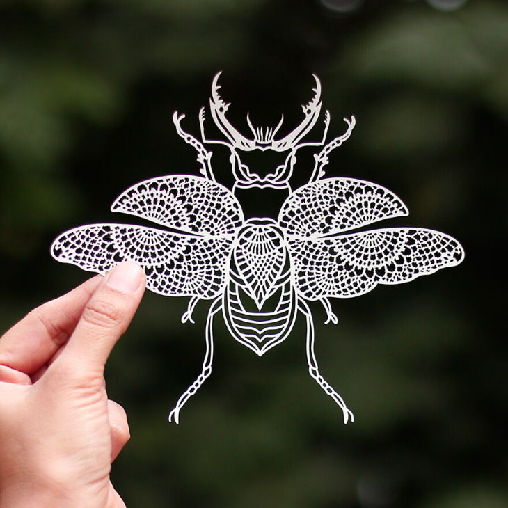 Arte Animal En Papel, escarabajo